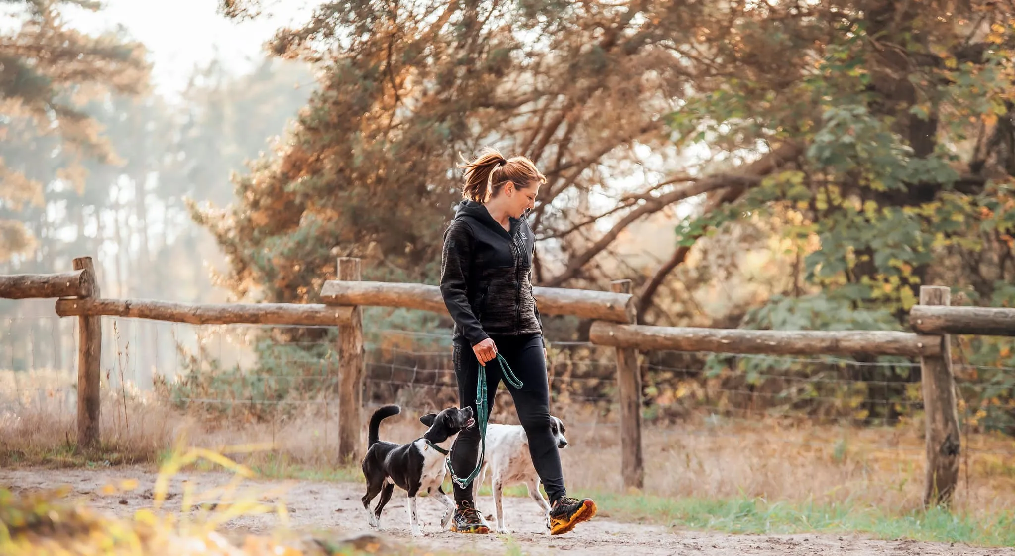 Steffi geht mit ihren beiden Hunden auf einem Waldweg