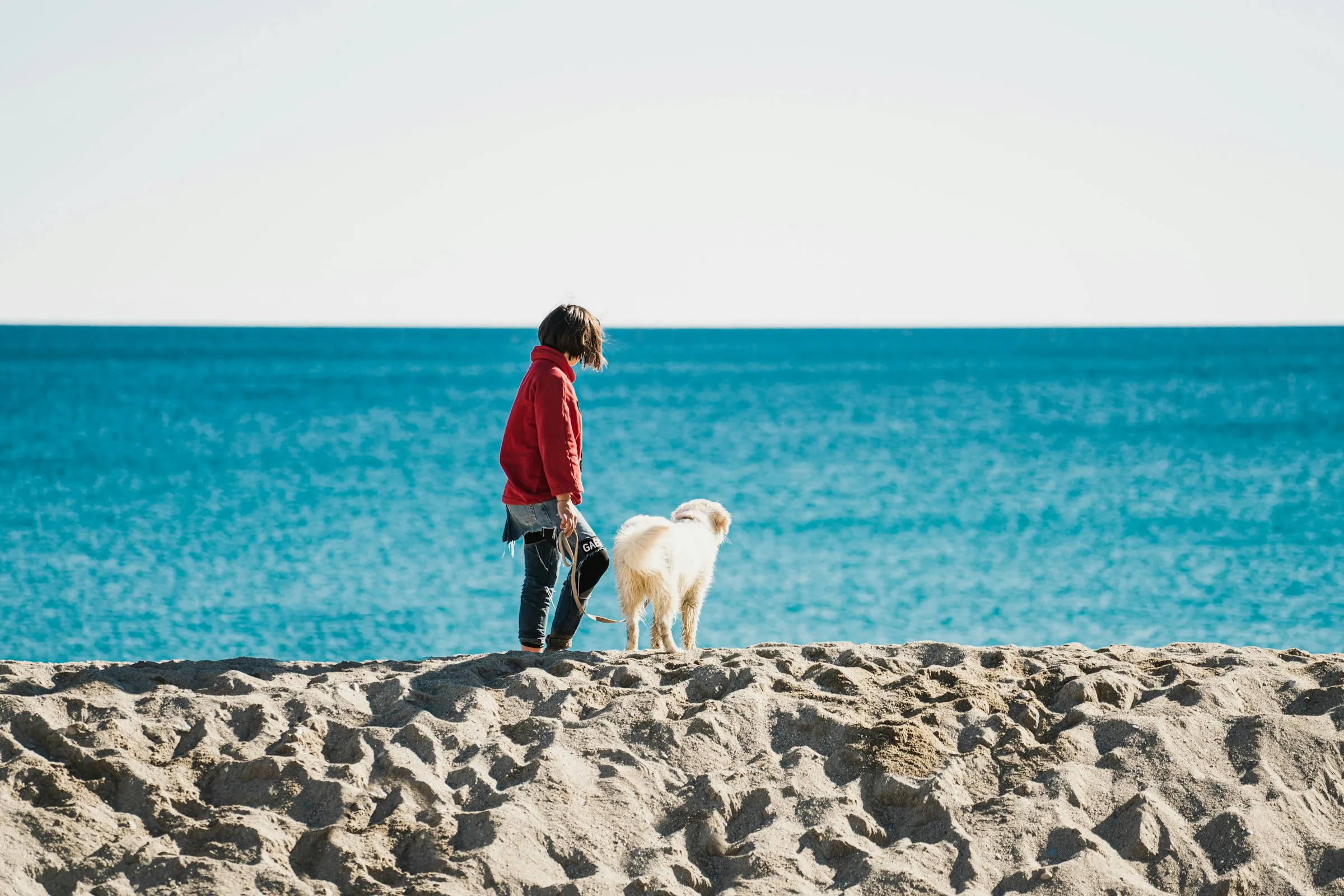 Mensch und Hund stehen gemeinsam auf einer Sanddüne und schauen aufs Meer